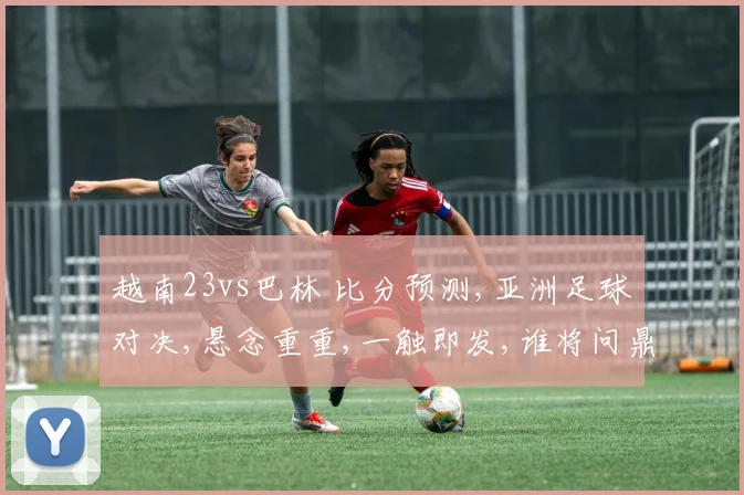 越南23vs巴林 比分预测,亚洲足球对决,悬念重重,一触即发,谁将问鼎