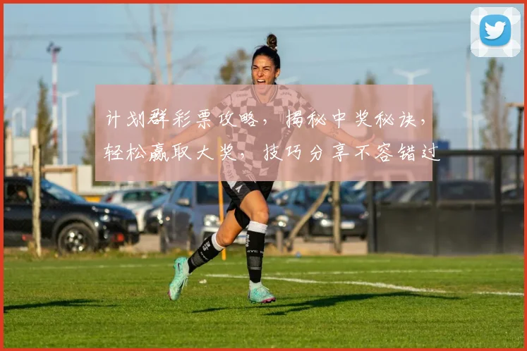 计划群彩票攻略，揭秘中奖秘诀，轻松赢取大奖，技巧分享不容错过