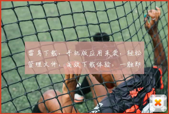 雷鸟下载，手机版应用来袭，轻松管理文件，高效下载体验，一触即达