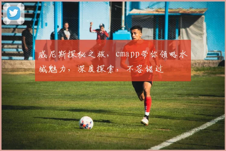 威尼斯探秘之旅，cmapp带你领略水城魅力，深度探索，不容错过